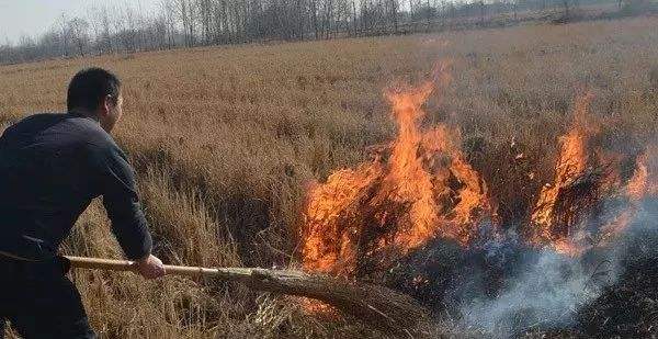 生物質顆粒機械