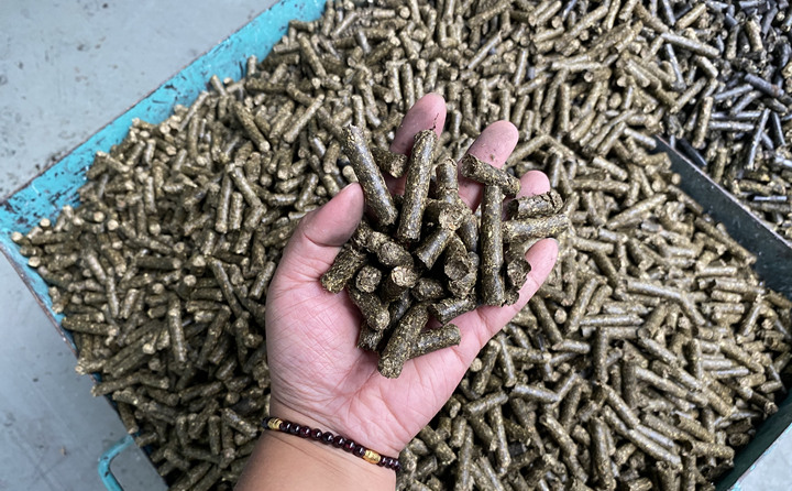 生物質顆粒機燃料顆粒