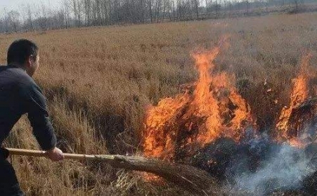 生物質顆粒機解決了農村大難題！